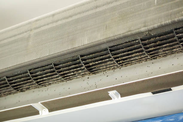 Best Emergency Air Duct Cleaning  in Warren Park, IN