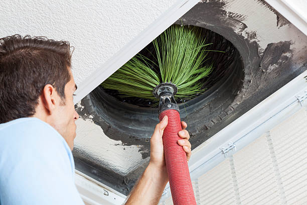 Best Air Duct Cleaning Near Me  in Warren Park, IN